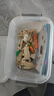 乐高（LEGO）积木拼装31162 可爱的兔子男孩女孩儿童玩具生日礼物 实拍图