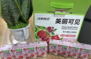 江中食疗纤艳益生菌发酵石榴汁120ml*4盒 富含维C玻尿酸无添加果汁饮料 实拍图