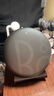 B&O Beosound A1 Gen2 可通话无线蓝牙音响/音箱迷你室内低音炮 氧气黑 实拍图