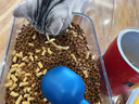 麦富迪猫粮 超肉粒冻干双拼幼猫粮免疫护肠胃 三文鱼10kg/20斤 实拍图