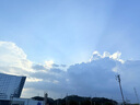 京东京造荟鲜红黑枸杞原浆礼盒1800ml鲜果压榨100%NFC原浆节日礼品 实拍图