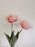 爱已装糖ins风假花仿真花束餐桌摆花客厅摆件装饰绢花重瓣郁金香浅粉2支 实拍图