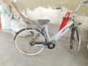 凤凰（Phoenix）上海凤凰自行车成人男女老年人2025新款式官方单车轻便通勤代步车 单速【密封全轴承】日式雅黑 26寸 实拍图