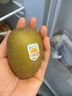佳沛（zespri）新西兰 新果季 阳光金奇异果33粒原箱单果重约101-114g 猕猴桃 实拍图