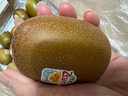 佳沛（zespri）新西兰  阳光金奇异果25-27粒原箱特大果单果约122-146g  猕猴桃 实拍图