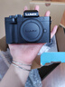 松下（Panasonic）Lumix G100D M43画幅相机 M43卡口 微单相机 无反数码相机 G100D+【12-60mm白盒】单镜套装 实拍图