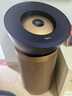 戴森（DYSON）BP04空气净化器 大面积净化异味过敏原除甲醛  滤除花粉宠物毛发 医护级 宠护认证 【蓝金色】 实拍图