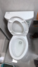 科勒（KOHLER） 马桶卫生间家用大冲力五级旋风虹吸分体丽裙插花坐便器缓降静音 5706/6345希玛龙 305坑距（290-390选） 305/300mm 实拍图
