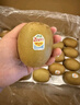 佳沛（zespri）新西兰 阳光金奇异果12粒礼盒特大果单果约122-146g 猕猴桃 水果 实拍图
