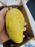 京鲜生海南金煌芒果 净重4.5斤 单果300g+ 新鲜水果 源头直发 实拍图