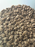 愛肯拿（ACANA）猫粮 海洋盛宴成猫幼猫粮 全价通用无谷进口鱼肉粮5.4kg效期26/3 实拍图