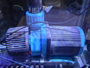 创宁变频潜水泵 CN-9500-60W 10档流量调节 鱼缸假山喷泉池循环抽水 实拍图