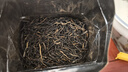 京东京造 云南滇红红茶浓香型百年古树凤庆200g新茶薯香茶叶伴手 自营 实拍图