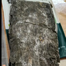 方家铺子 中华老字号 精选海带头250g  海带根部30cm 特厚叶片 凉拌煲汤 实拍图