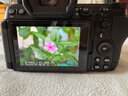 尼康（Nikon）【国行带票】Z6 III Z63全画幅微单相机 微单套机 单机 摄影摄像视频无反相机数码相机 运动拍鸟 Z6III单机/未开封原包装（不含镜头） 官方标配【送膜+沣标座充+沣标电池】 晒单实拍图