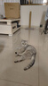 熊猫兔 猫爬架防猫抓豪华猫爬架猫树猫抓柱猫抓板通天柱猫玩具猫咪用品 实拍图
