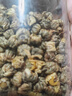 陈一凡 胎菊花茶 精选无硫胎菊王 泡水喝的花草茶搭枸杞茶叶袋装250g 实拍图