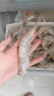 卖鱼郎先生青岛大虾4斤（净虾3.6斤+保护冰0.2kg）36-54只白虾大虾基围虾 实拍图