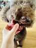 疯狂小狗宠物狗狗零食磨牙棒洁齿 小型犬洁齿甜甜圈鸭肉味80g（40g*2） 实拍图