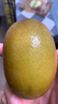 佳沛（zespri）新西兰 阳光金奇异果12粒礼盒特大果单果约122-146g 猕猴桃 水果 实拍图