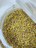 艺佰苦荞茶四川大凉山黄苦荞茶苦介茶黄金荞麦饭店餐厅500g 实拍图
