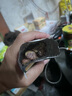 三只松鼠甘栗仁50g*4袋 坚果炒货果仁休闲零食品栗子板栗 实拍图