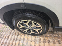 米其林（MICHELIN）汽车轮胎 225/60R17 99V 旅悦+ PRIMACY SUV+ 适配580/途胜/GL8 实拍图