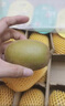 佳沛（zespri）新西兰  阳光金奇异果18粒礼盒优选果单果约101-124g 猕猴桃水果 实拍图