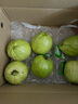 京鲜生 软糯奶油白心芭乐 净重3斤装单果150g+ 番石榴 源头直发包邮 实拍图