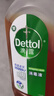 滴露（Dettol）消毒液衣物除菌液洗衣消毒水1.8L杀菌除螨 家居宠物消毒除菌  实拍图