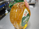 红井源压榨一级纯香亚麻籽油食用油 月子油家庭装5L内蒙古特产胡麻油 实拍图