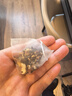 南同四海同仁堂菊花枸杞决明子茶清热茶包肝草袋冷泡熬夜养生茶150g 实拍图
