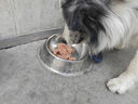 网易严选犬粮 全价冻干三拼狗粮幼犬成犬小型犬中大型犬通用泰迪 牛肉 2kg 实拍图