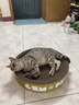 疯狂的主人 猫抓板窝特大号猫玩具猫爪板猫抓盆不掉屑猫窝碗形圆形瓦楞纸 实拍图