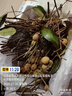 京鲜生泰国进口龙眼 巨无霸金标 净重5斤 果径28mm以上生鲜水果源头直发 实拍图