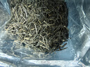 醉香一壶毛尖茶叶高山云雾绿茶2025新茶明前春茶一级浓香型自己喝的茶250g 实拍图