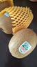 佳沛（zespri）绿奇异果 优选大果12粒单果约113-135g  水果礼盒 猕猴桃 实拍图