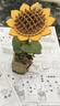 若物木艺繁花积木花diy手工制作拼装模型玩具毕业生日礼物 向日葵 实拍图
