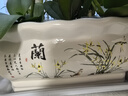 裕轩堂 有孔陶瓷花盆多肉植物白色创意简约风格长方形桌面地面绿植盆 长方形-蘭（带塑料托盘） 大号 实拍图