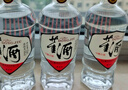 董酒 复刻 白标 董香型白酒 54度 500ml*6瓶 整箱装 升学宴 实拍图