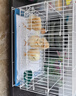 栗好嘉鸭子笼子家用小鸡笼子芦丁鸡饲养笼养鸭子笼子黄鸡养殖笼柯尔鸭笼 白色（饮水器4件套） 芦丁鸡笼小号35*25*26 2只 实拍图