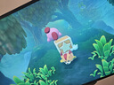 任天堂（Nintendo）Switch游戏卡带 NS游戏软件 全新原装海外版 星之卡比探索发现3D动作中文 实拍图