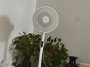 美的（Midea）电风扇家用智能遥控工业风扇落地扇大风力客厅卧室宿舍车间大风量电扇 【美的幸运草安睡风扇lite】遥控款SDH30RX 实拍图