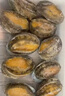 金唐鲜冻大鲍鱼净重500g/ 10头鲍 带壳鲍鱼肉 贝类海鲜生鲜火锅烧食材 实拍图