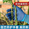 园艺防水防扎防刺手套户外赶海防滑耐磨种植拔草花艺师园丁专用套 园艺手套（防刺防水）6副 实拍图