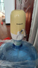 志高（CHIGO） 桶装水抽水器双泵电动纯净水上水器家用办公室饮水机矿泉水吸水器压水器大出水量抽水机 双水泵出水快 黄色 实拍图