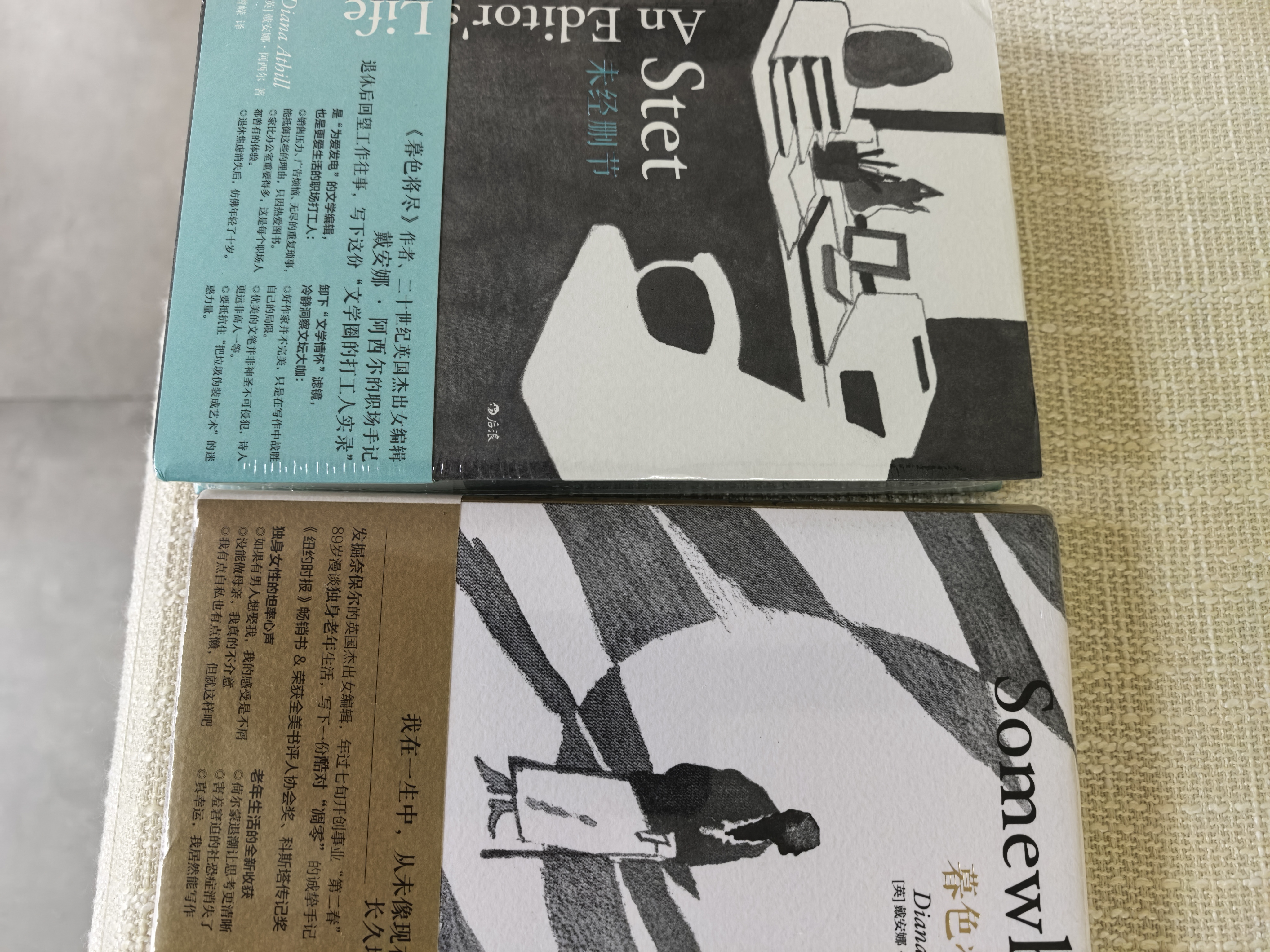 戴安娜·阿西尔作品系列 我的人生嘴替 暮色将尽 未经删节 套装2册 实拍图