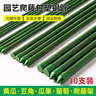 两腿跑【送货上门】爬藤架葡萄黄瓜豆角架种菜花支架庭院园艺花卉支撑杆 粗16mm长240cm10支 特大 实拍图