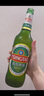 青岛啤酒（TsingTao）经典啤酒 600ml*12瓶 升级大容量 整箱装 父亲节礼物 实拍图