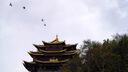 索尼（SONY）FE 24-70mm F2.8 GM II 全画幅标准变焦大三元二代G大师镜头SEL2470GM2 虚拟货品1 官方标配 实拍图